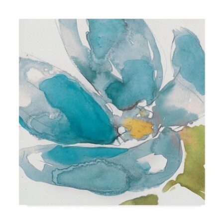 Jennifer Goldberger 'Flower Splash I' Canvas Art,18x18
